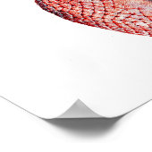 Octopus Print No.4 Cephalopod Zee Creature Art (Hoek)