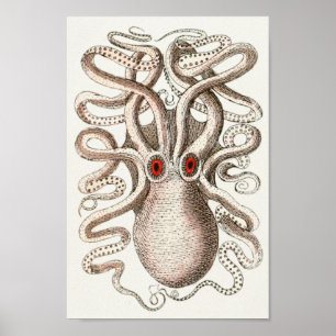Octopus Red Eye Cephalopod Zee Kunstafdrukken Poster