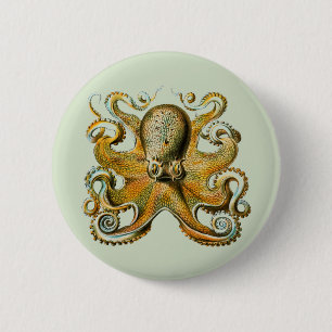 Octopus Ronde Button 5,7 Cm