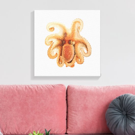  octopus salutii, zeewaterdieren canvas afdruk (Insitu (Woonkamer))