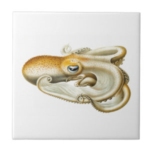 "OCTOPUS" SEALIFE CERAMIC TIL TEGELTJE