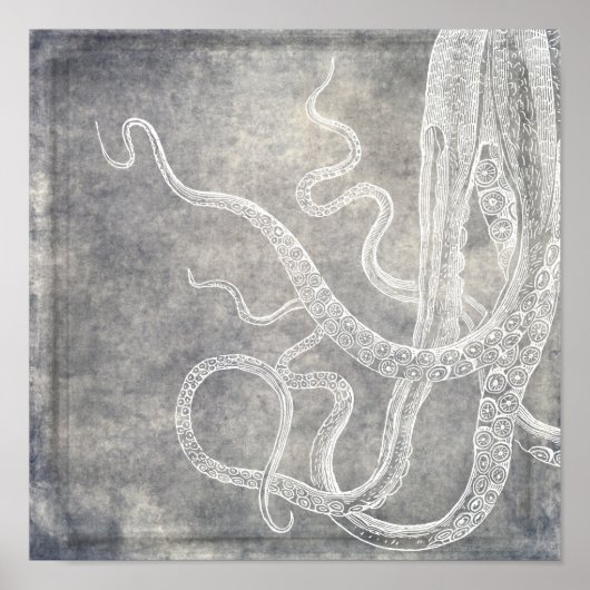  Octopus Silver Pewter Gray Waterverf Poster (Voorkant)