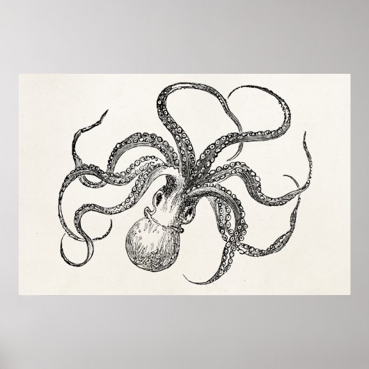 Octopus-Sjabloon over Antiek papier Poster (Voorkant)