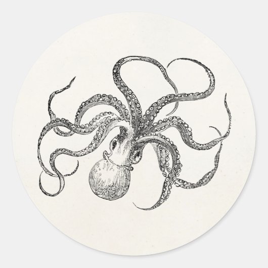 Octopus-Sjabloon over Antiek papier Ronde Sticker (Voorkant)