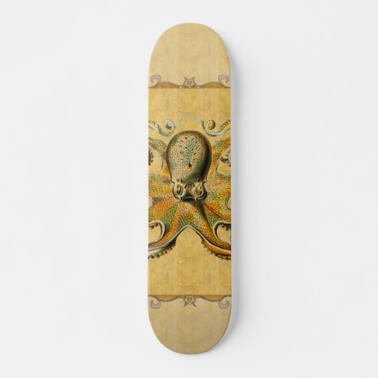 Octopus Skateboard (Devant)