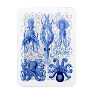 Octopus & Squid Blue Magneet