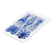 Octopus & Squid Blue Magneet (Linkerzijde)