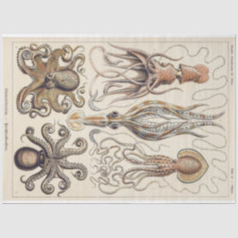 Octopus Squid Gamochonia Decoupage tissuepapier