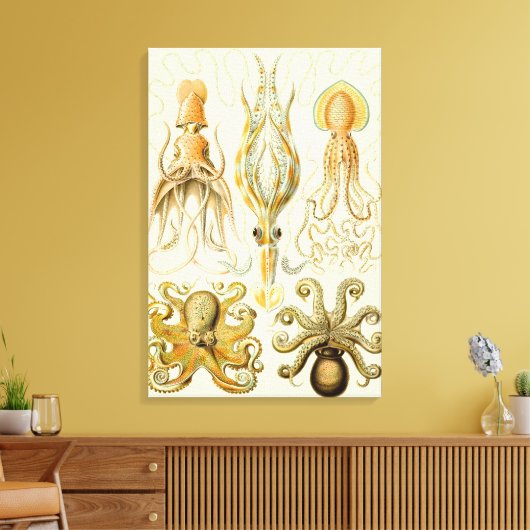  Octopus Squid Gamochonia door Ernst Haeckel Canvas Afdruk (Insitu (Woonkamer))