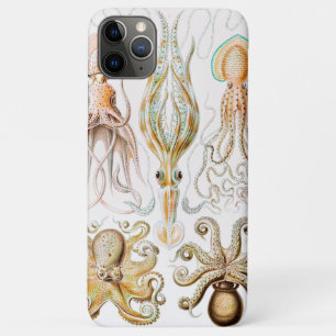 Octopus Squid, Gamochonia door Ernst Haeckel iPhone 11 Pro Max Hoesje