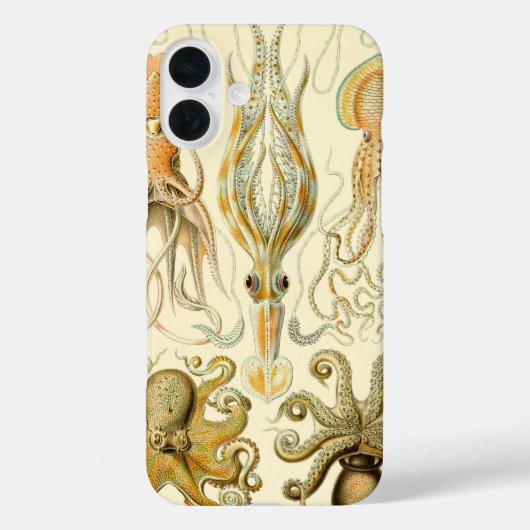 Octopus Squid Gamochonia door Ernst Haeckel Case-Mate iPhone Case (Achterkant)