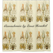  Octopus Squid Gamochonia door Ernst Haeckel Douchegordijn (Voorkant)