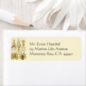  Octopus Squid Gamochonia door Ernst Haeckel Etiket (Insitu)