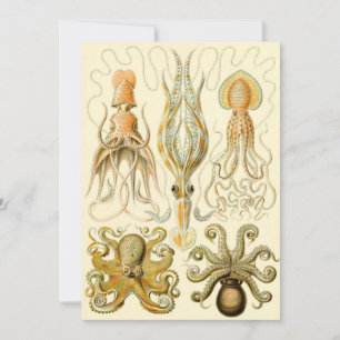 Octopus Squid Gamochonia door Ernst Haeckel Kaart