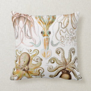 Octopus Squid, Gamochonia door Ernst Haeckel Kussen