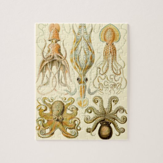  Octopus Squid Gamochonia door Ernst Haeckel Legpuzzel (Verticaal)