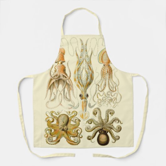  Octopus Squid Gamochonia door Ernst Haeckel Schort (Voorkant)
