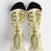  Octopus Squid Gamochonia door Ernst Haeckel Sokken (Top)