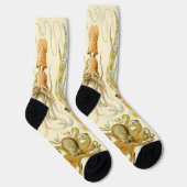  Octopus Squid Gamochonia door Ernst Haeckel Sokken (Rechts)