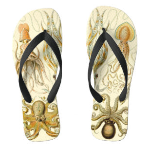  Octopus Squid Gamochonia door Ernst Haeckel Teenslippers