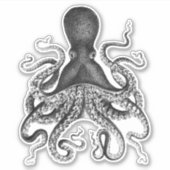  octopus sticker (Voorkant)