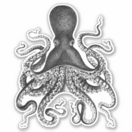  octopus sticker