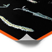 Octopus Studie Poster (Hoek)