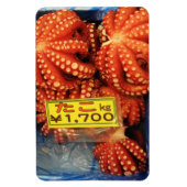 Octopus Tako たこ Tsukiji vismarkt, Tokio, Japan Magneet (Verticaal)