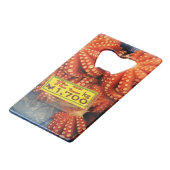 Octopus Tako た こ marché de poisson Tsukiji, Tokyo, (Devant Angle)