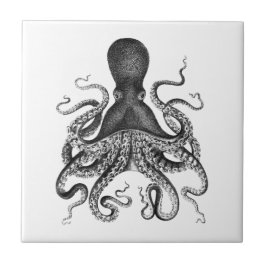  octopus tegeltje