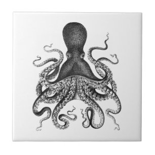  octopus tegeltje