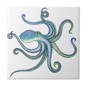 Octopus Tegeltje