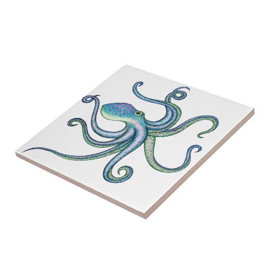 Octopus Tegeltje (Zijkant)
