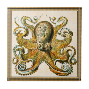 Octopus Tegeltje