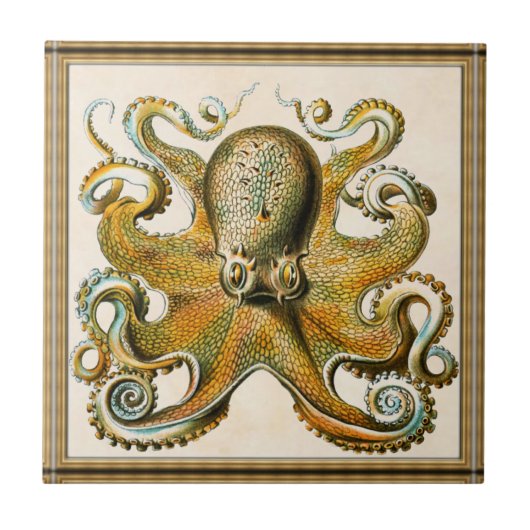 Octopus Tegeltje (Voorkant)