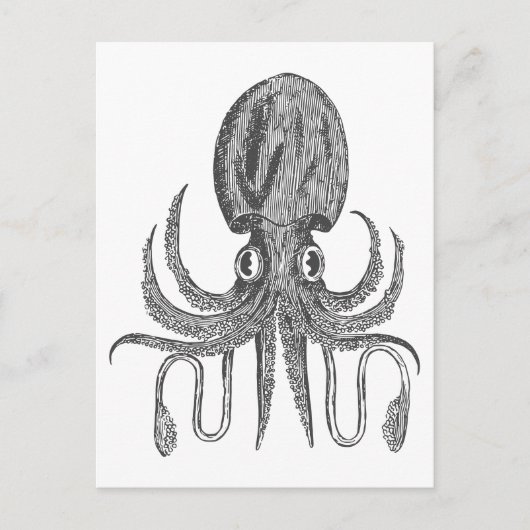  octopus Tekening in zwart-wit Briefkaart (Voorkant)