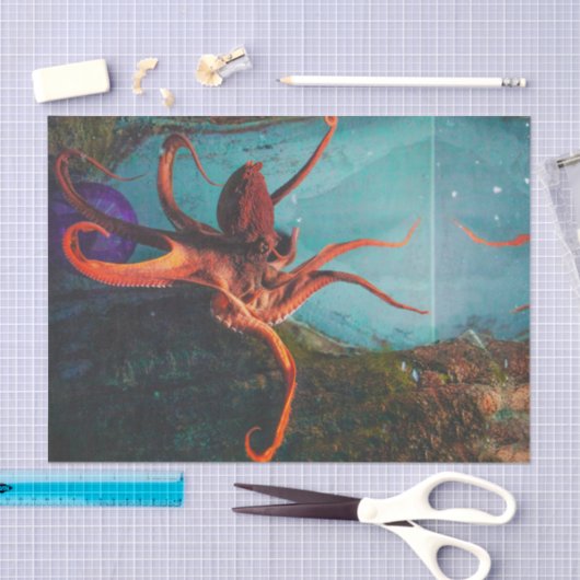 Octopus Tissuepapier (Craft)