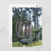 Octopus Tree, Cape Meares, Oregon Briefkaart (Voorkant / Achterkant)
