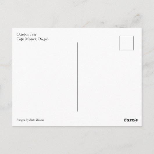 Octopus Tree, Cape Meares, Oregon Briefkaart (Achterkant)