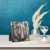 Octopus Tree, Cape Meares, Oregon Fotoplaat (Insitu)