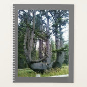 Octopus Tree, Cape Meares, Oregon Planner (Voorkant)