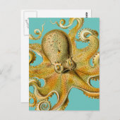 Octopus van Ernst Haeckel Briefkaart (Voorkant / Achterkant)