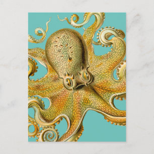 Octopus van Ernst Haeckel Briefkaart
