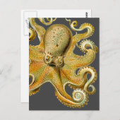 Octopus van Ernst Haeckel Briefkaart (Voorkant / Achterkant)
