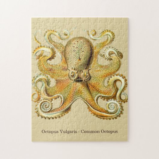 Octopus van Ernst Haeckel  Ocean Life Legpuzzel (Verticaal)