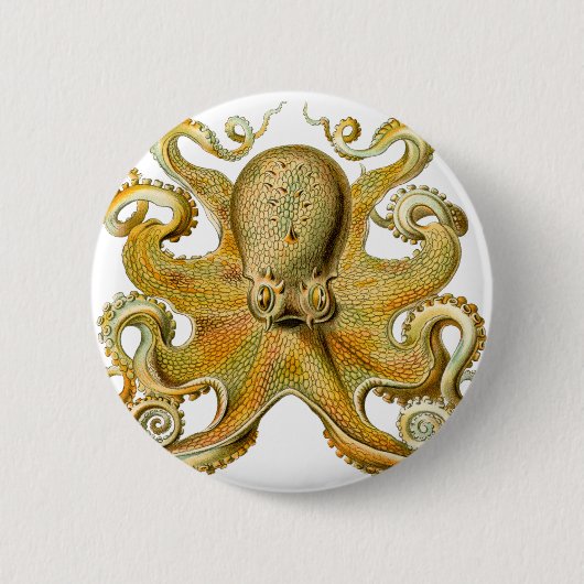Octopus van Ernst Haeckel Ronde Button 5,7 Cm (Voorkant)