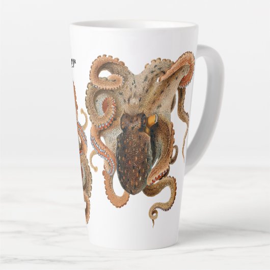 octopus Vulgaris, zeedieren Latte Mok (Rechterhoek)
