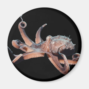 Octopus-Wild Thang Magneet