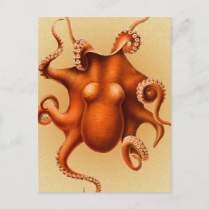 Octopus Zee Monster Creature Cephalapod Briefkaart