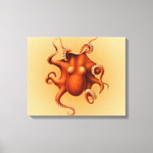 Octopus Zee Monster Creature Cephalapod  Canvas Afdruk